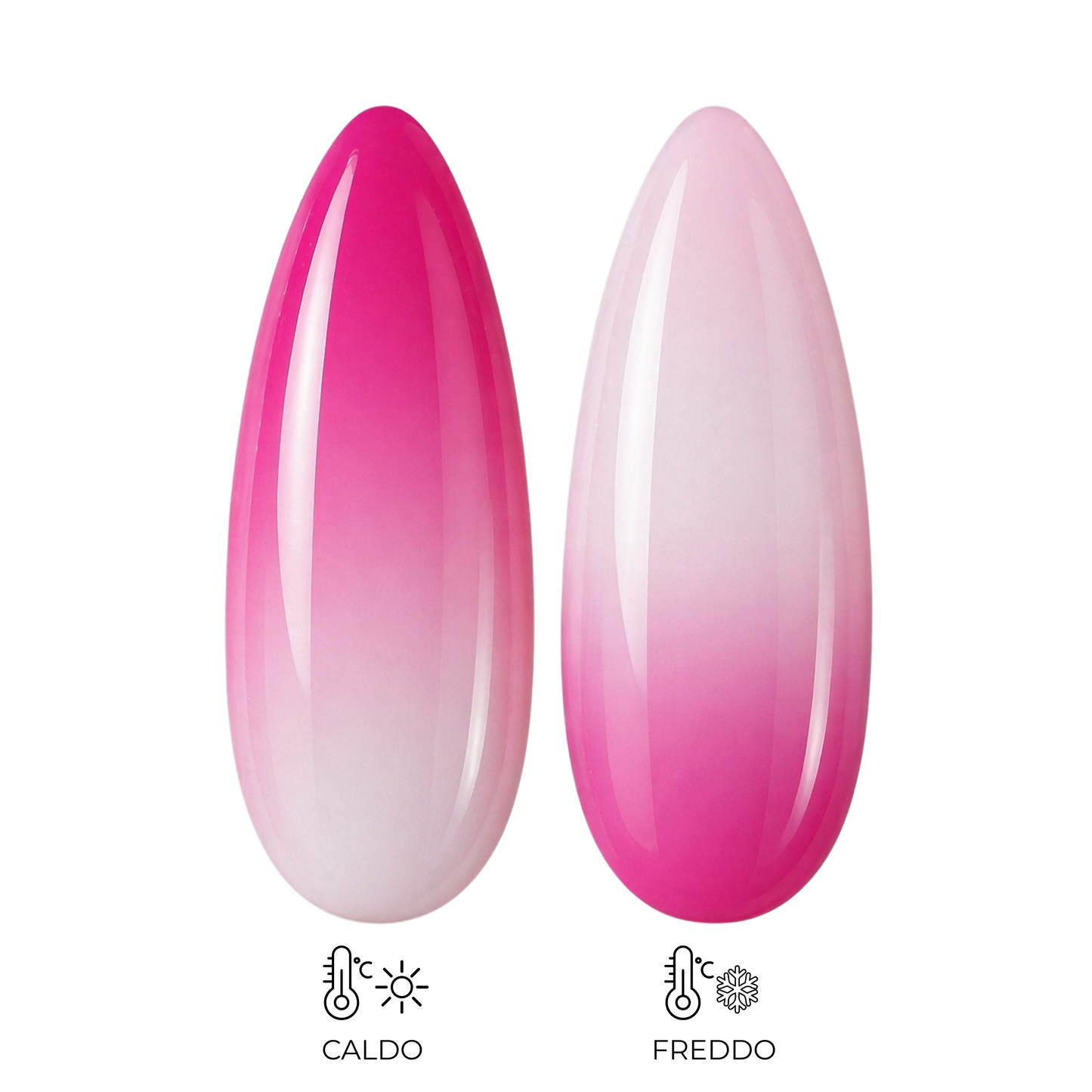 Acrygel - Thermo Bloom