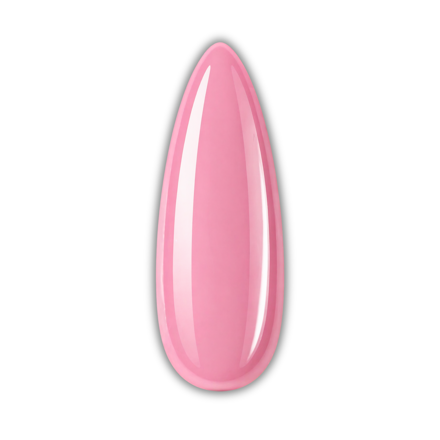 Sapienza Rubber Base - Cover